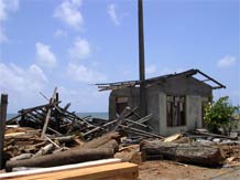 Destroyed coconut fiber extracting machine