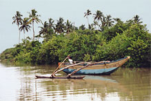 Fishermen emptying their nets